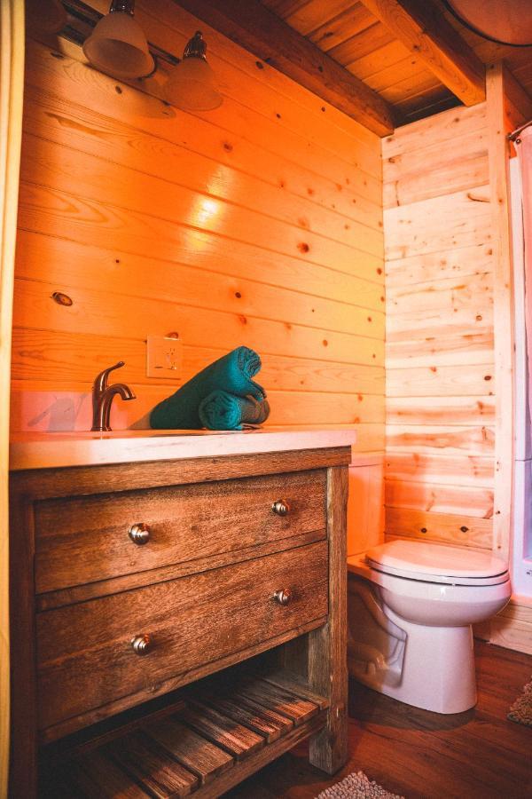 Denali Wild Stay - Redfox Cabin, Free Wifi, Private, Sleep 6 Healy Exterior foto